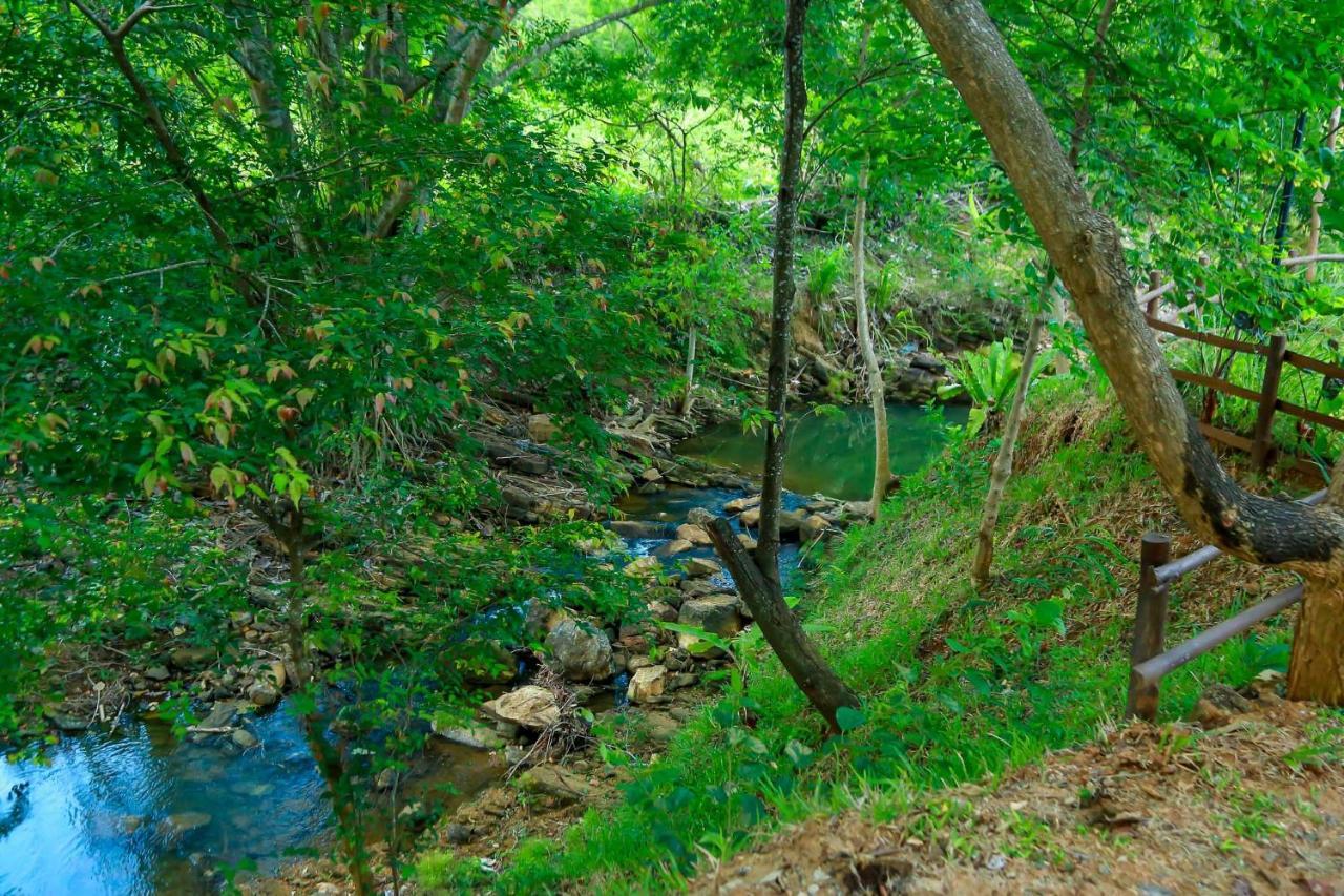 Doola River Edge Udawalawe Ngoại thất bức ảnh
