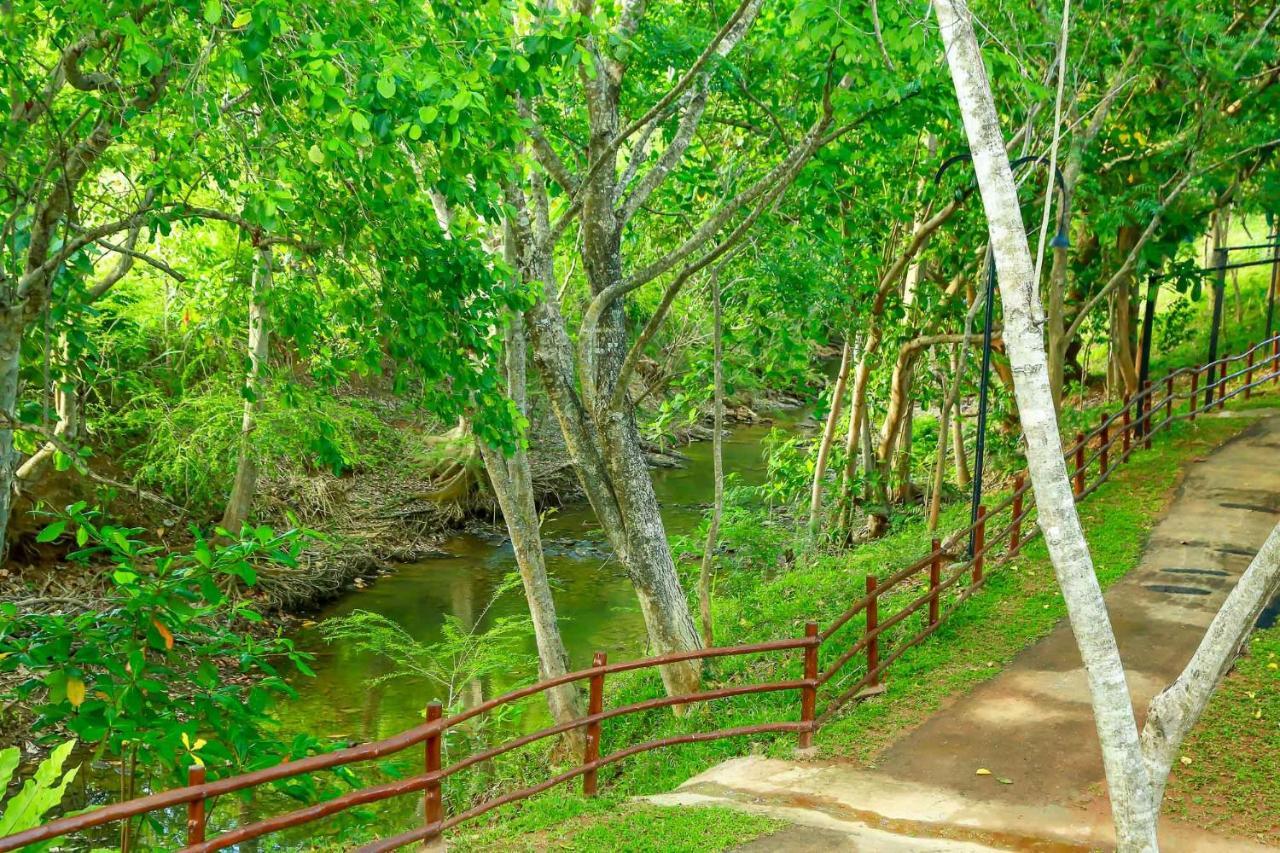Doola River Edge Udawalawe Ngoại thất bức ảnh