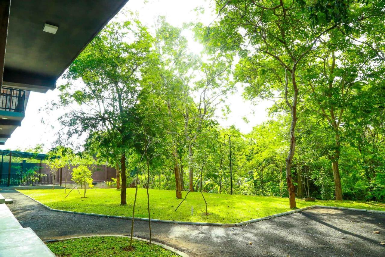 Doola River Edge Udawalawe Ngoại thất bức ảnh